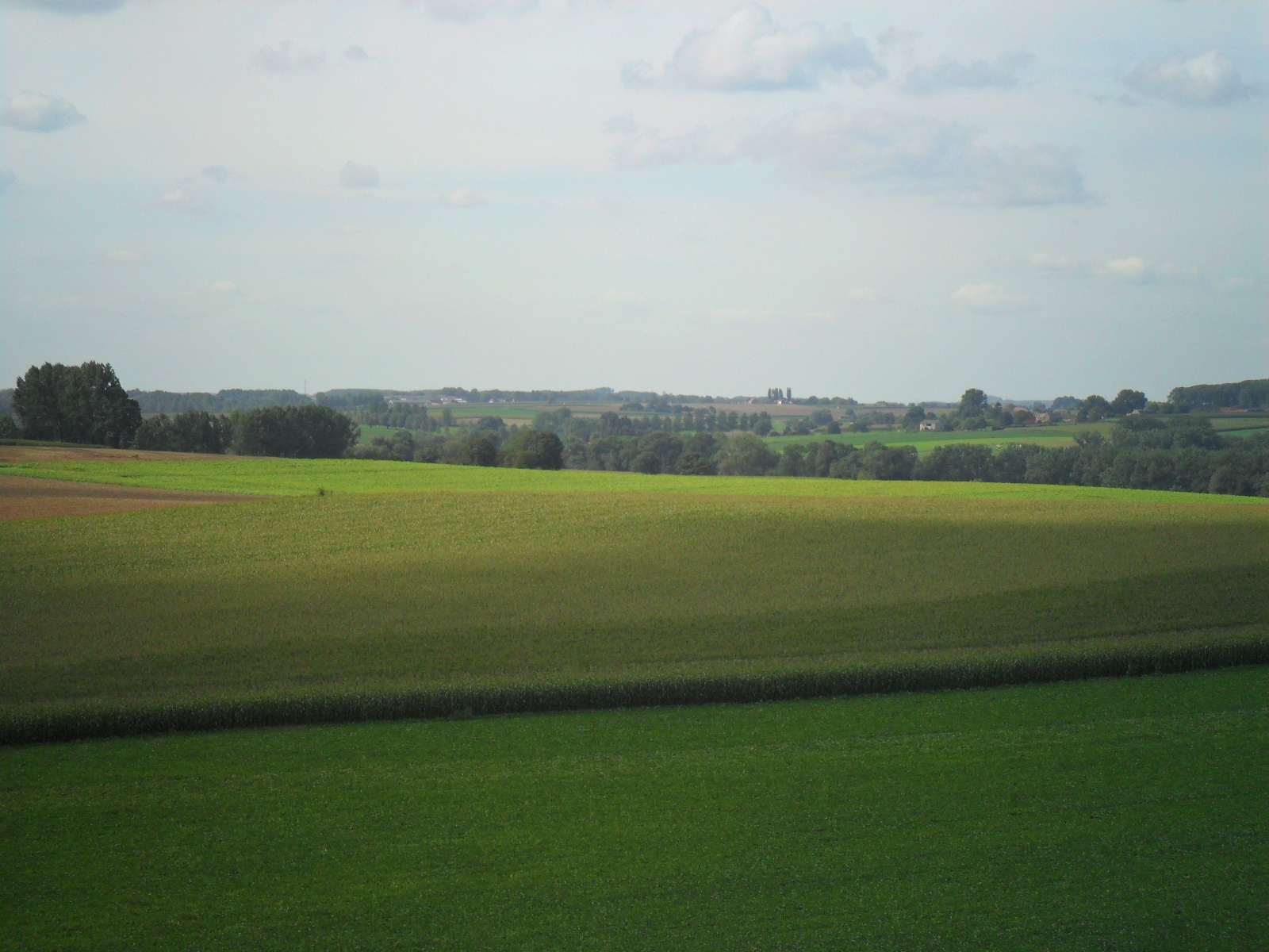 Landschap onder Brussel